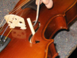 Alma del violín 5