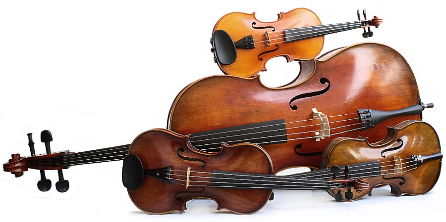 Boutique de violons, altos et violoncelles